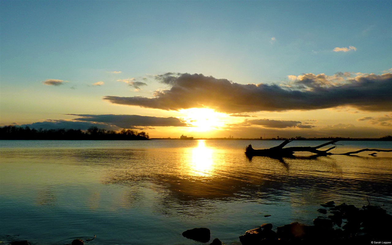Water, the source of life, Windows 8 theme HD wallpapers #3 - 1280x800