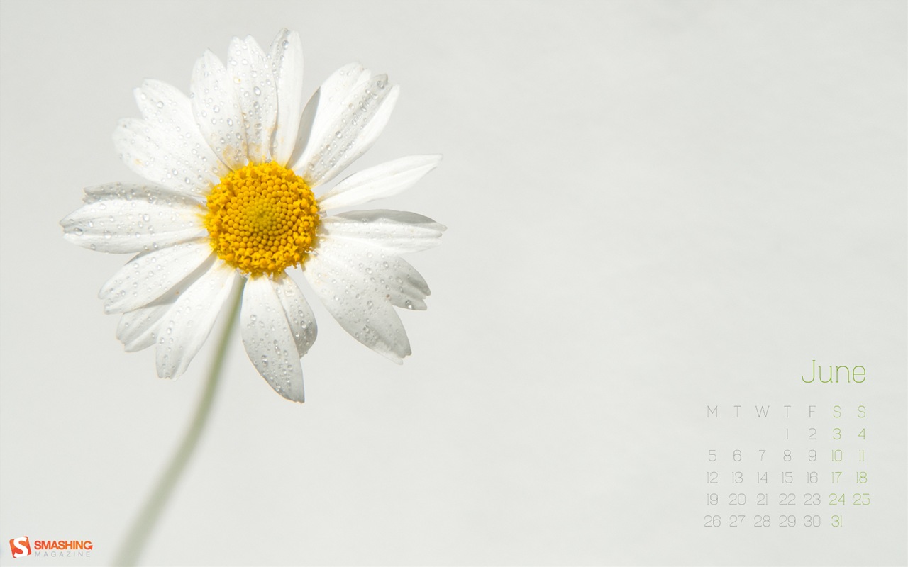 June 2014 calendar wallpaper (1) #14 - 1280x800