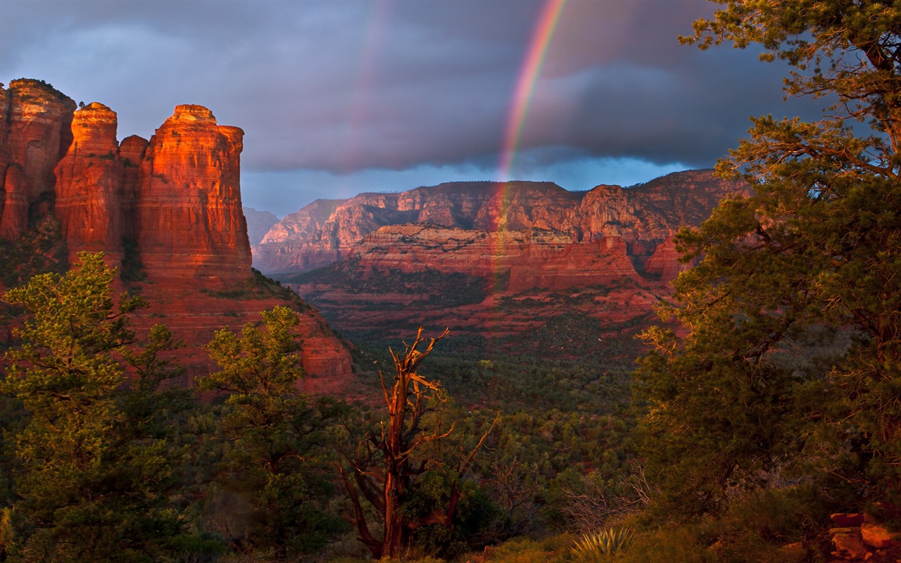 Schöner Regenbogen Landschaft HD Wallpaper #14 - 1280x800