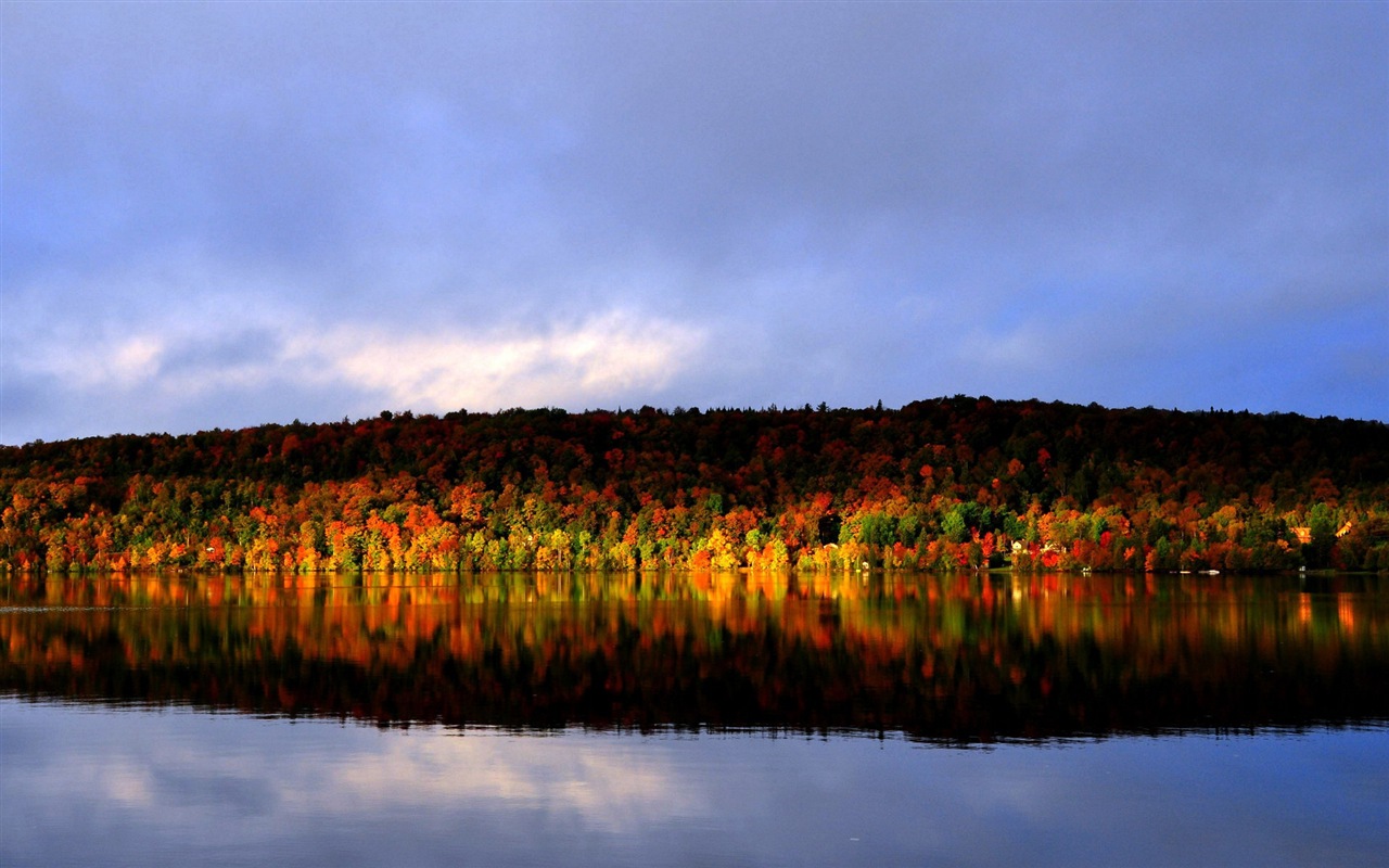 Voda a stromy v podzimních HD tapety na plochu #3 - 1280x800