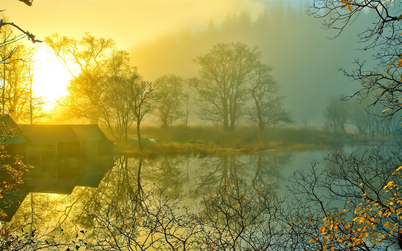 霧的秋天，紅葉樹木，高清壁紙 #3 - 1280x800
