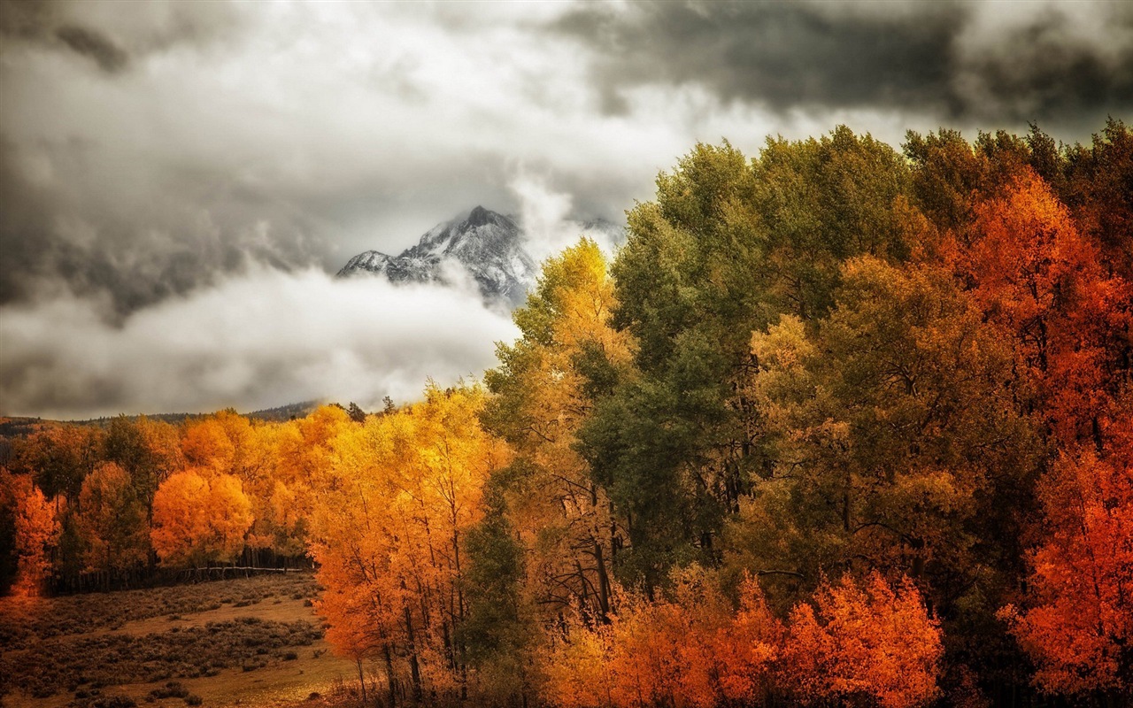 霧的秋天，紅葉樹木，高清壁紙 #10 - 1280x800