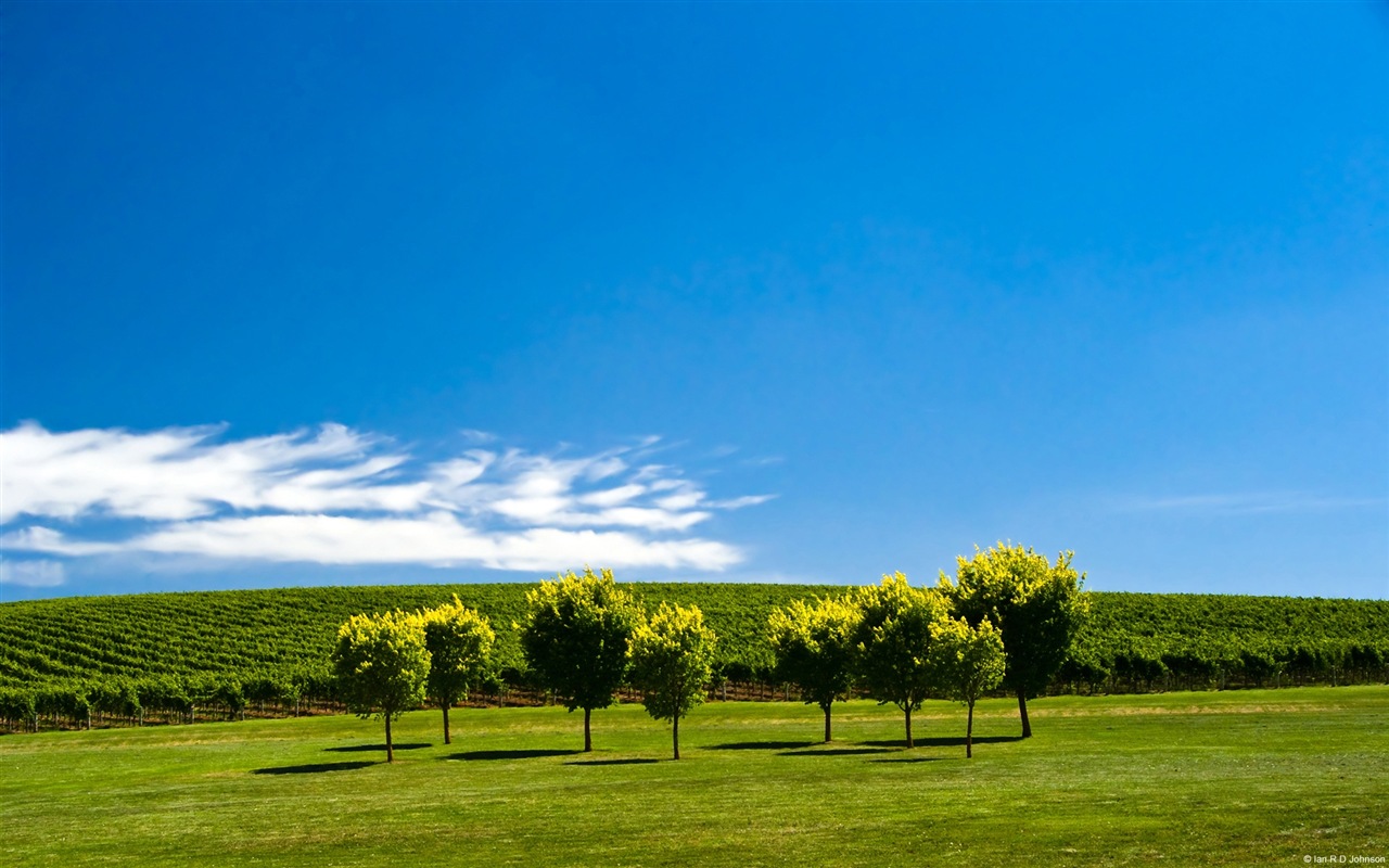 寧靜的夏天，Windows 8 高清主題壁紙 #12 - 1280x800
