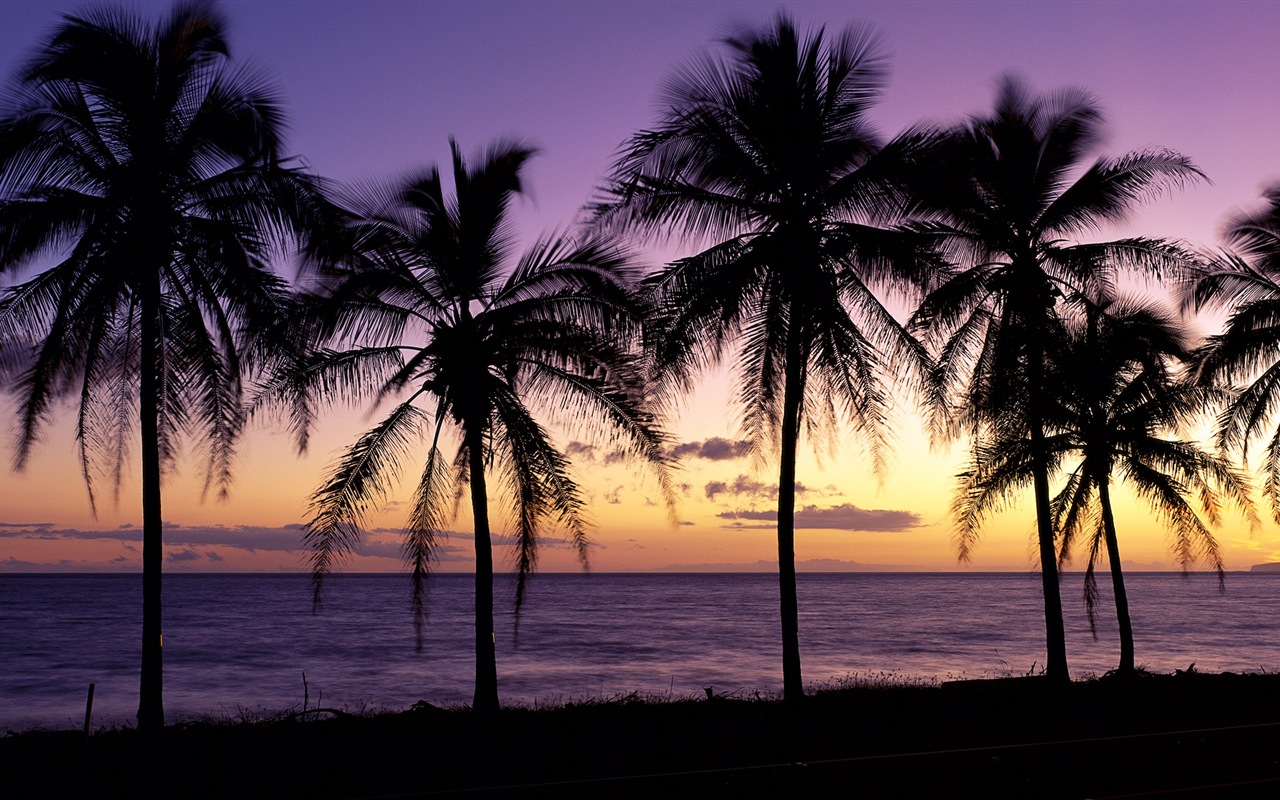 美しいビーチの夕日、Windows 8のパノラマワイドスクリーンの壁紙 #1 - 1280x800