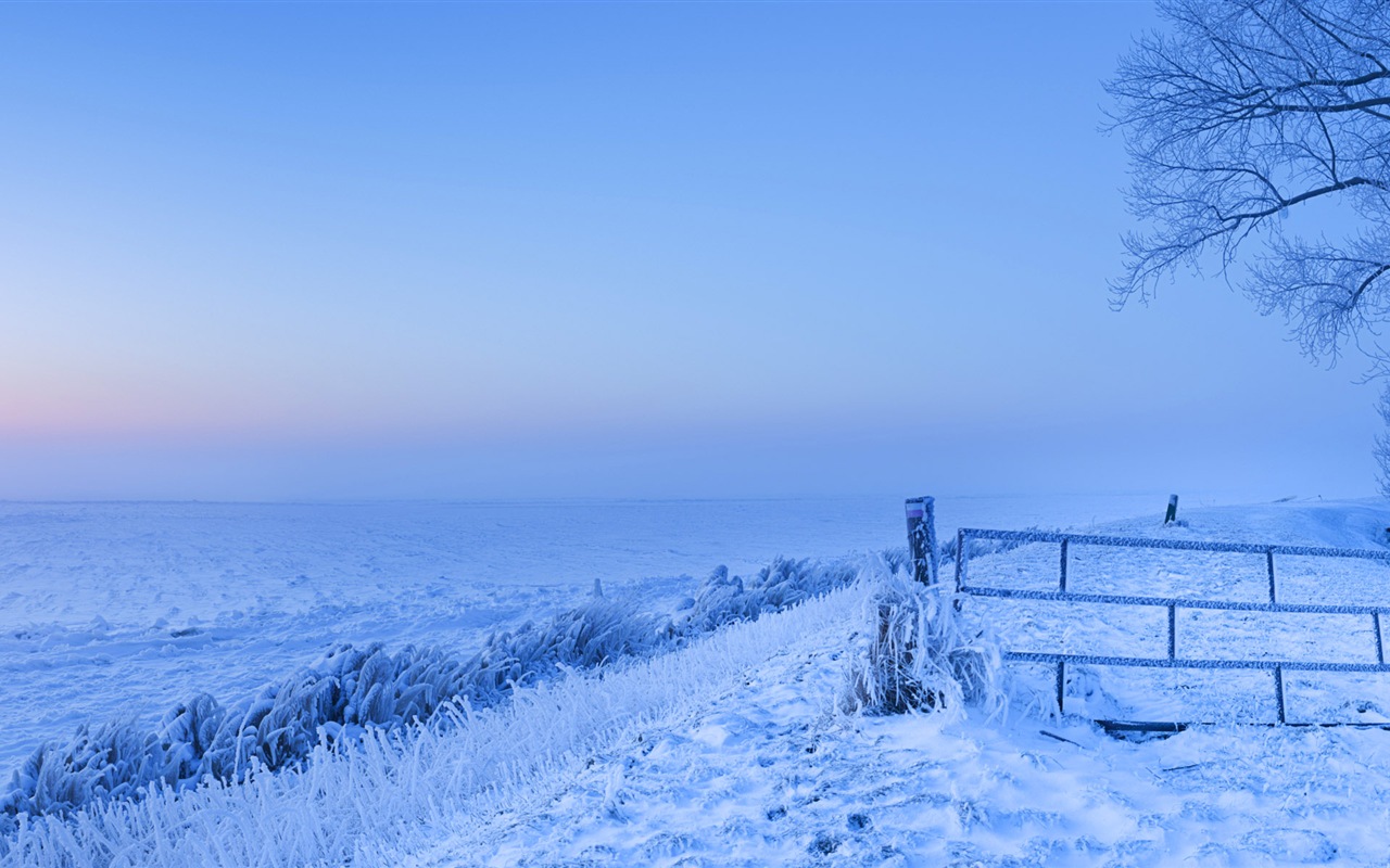 寒冷冬天美麗的雪景，Windows 8 全景寬屏壁紙 #2 - 1280x800