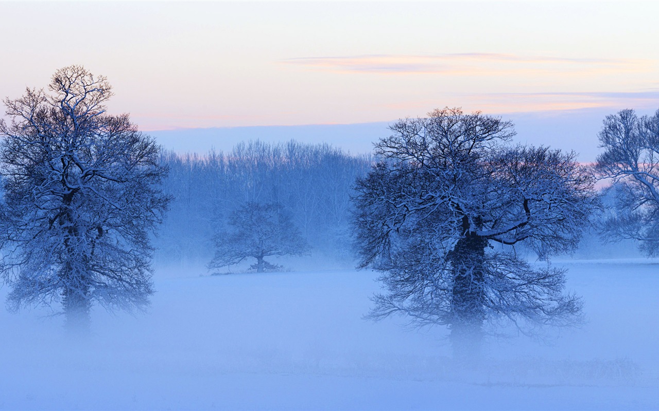 아름다운 추운 겨울 눈, 윈도우 8 파노라마 와이드 스크린 배경 화면 #6 - 1280x800