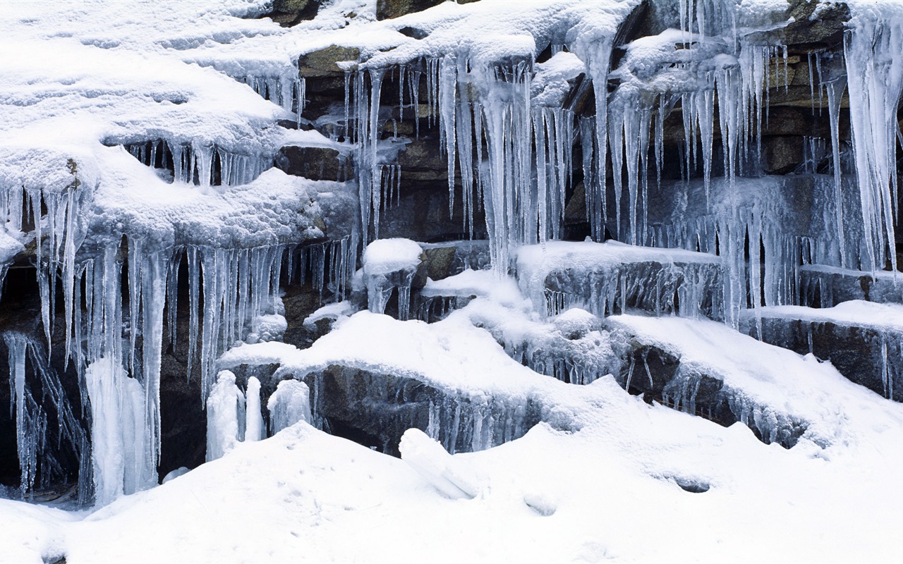 寒冷冬天美丽的雪景，Windows 8 全景宽屏壁纸7 - 1280x800