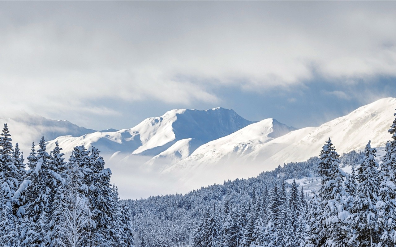 Belle neige froide d'hiver, de Windows 8 fonds d'écran widescreen panoramique #9 - 1280x800