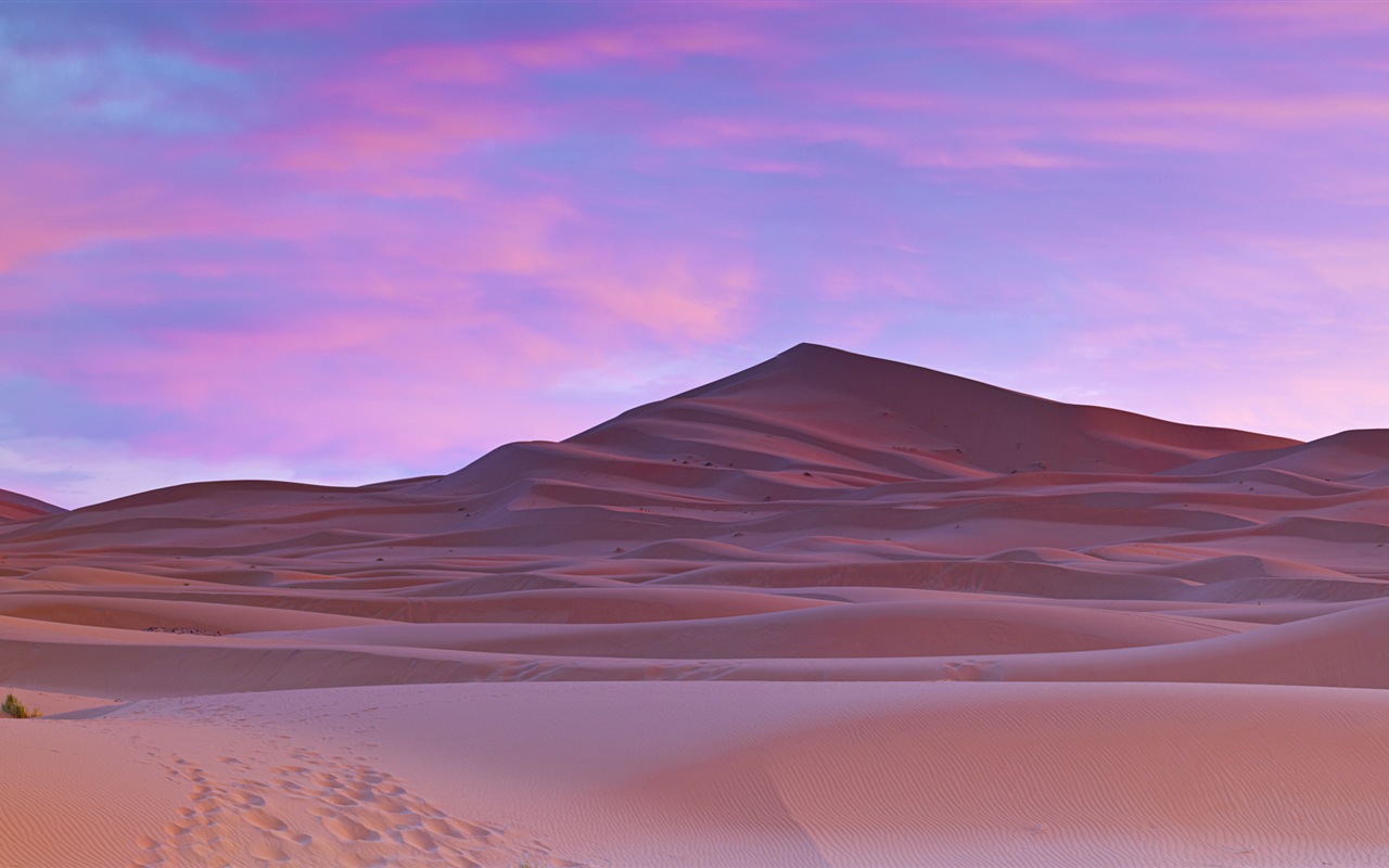 Teplé a vyprahlé pouště, Windows 8 panoramatické, širokoúhlé tapety #1 - 1280x800