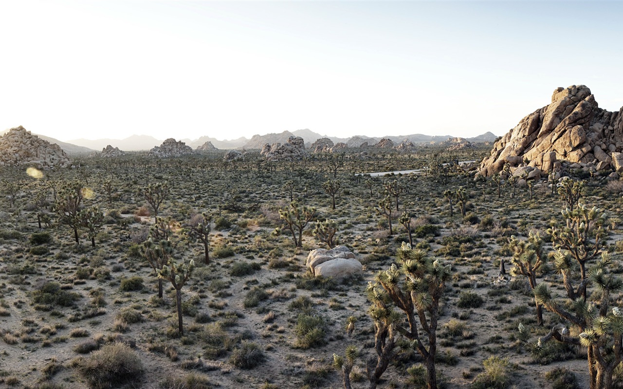 暑くて乾燥した砂漠、Windows 8のパノラマワイドスクリーンの壁紙 #9 - 1280x800