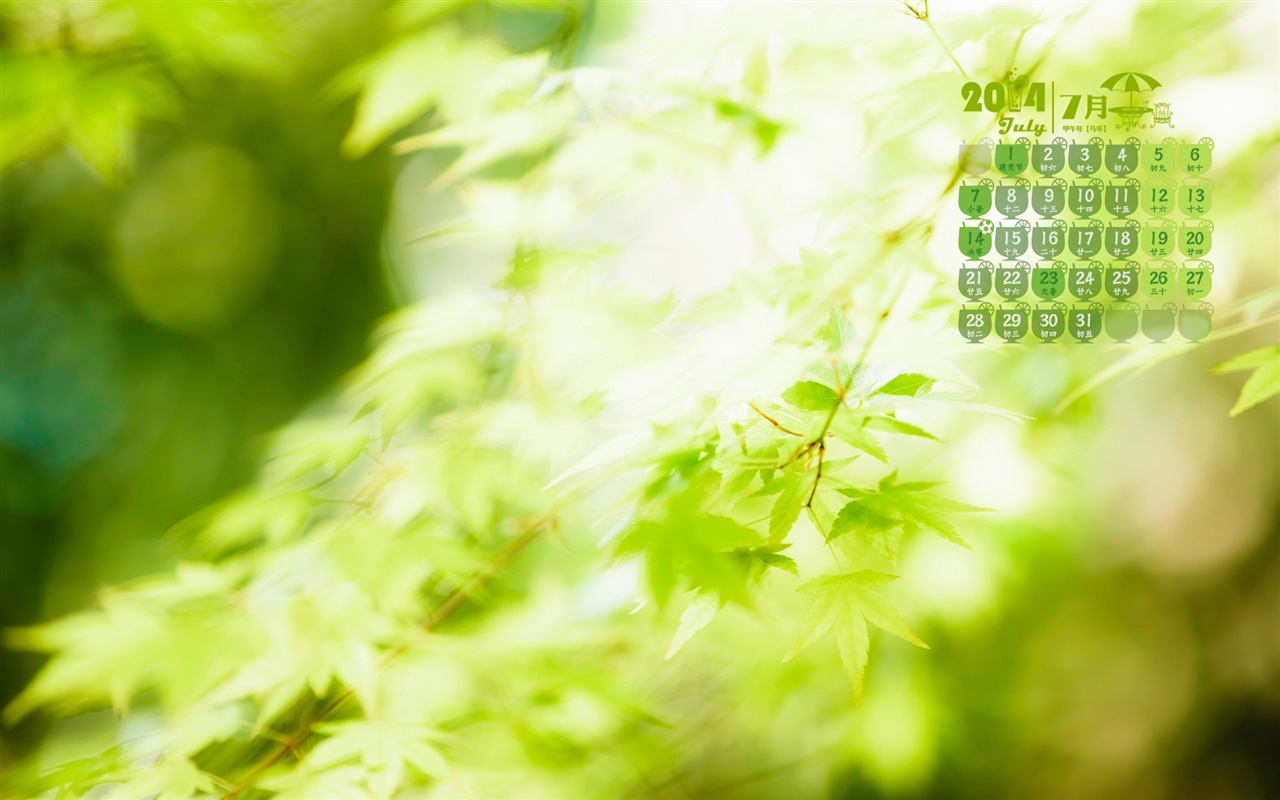 2014年7月 月曆壁紙(一) #14 - 1280x800
