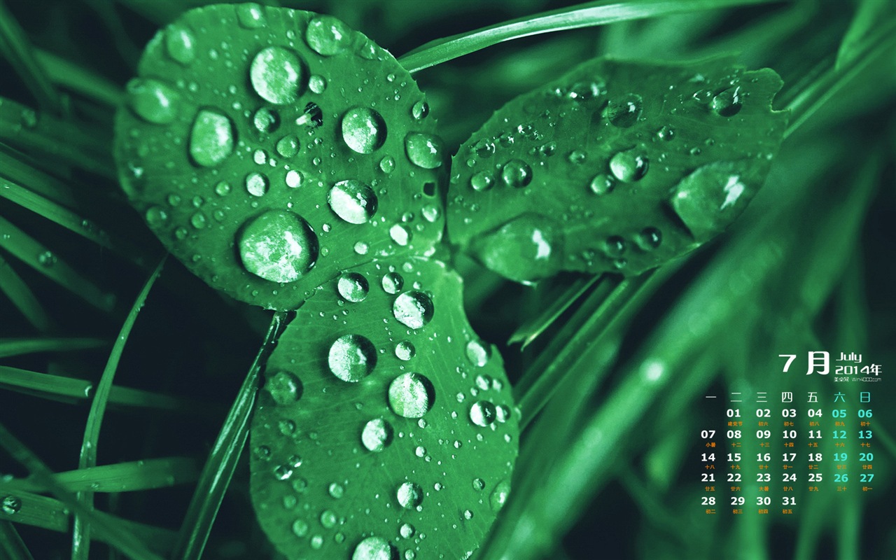 2014年7月 月曆壁紙(一) #16 - 1280x800