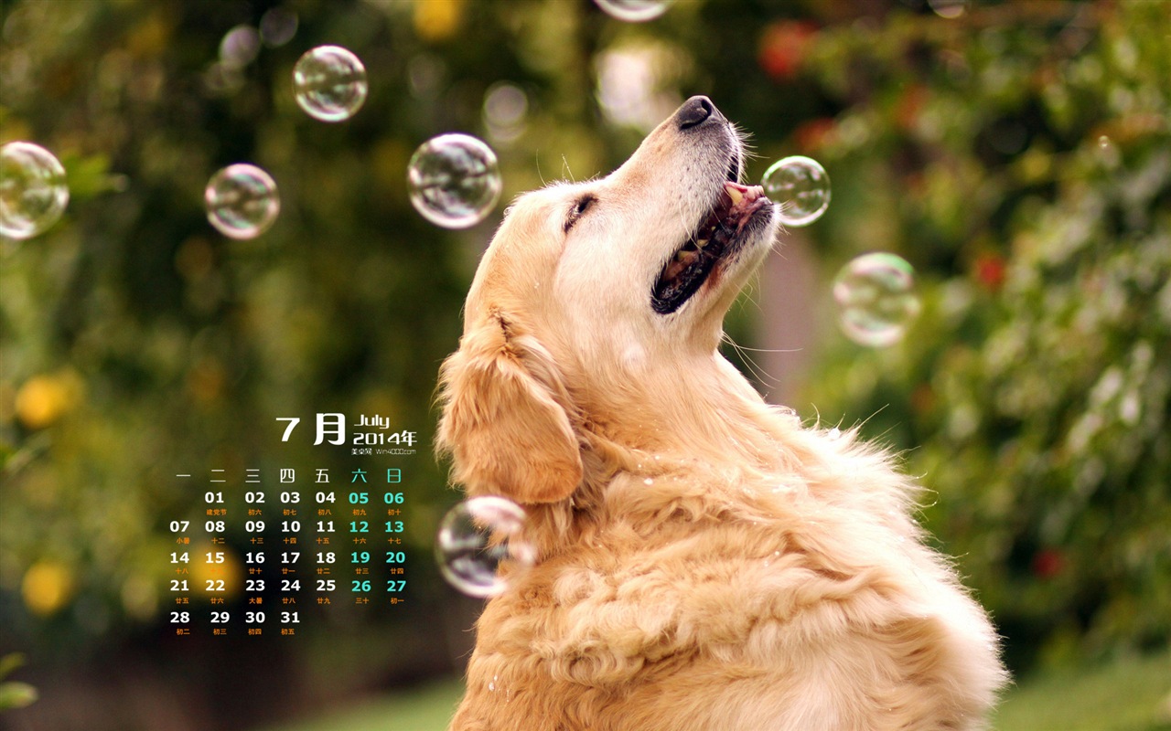 Juli 2014 Kalender Wallpaper (2) #11 - 1280x800