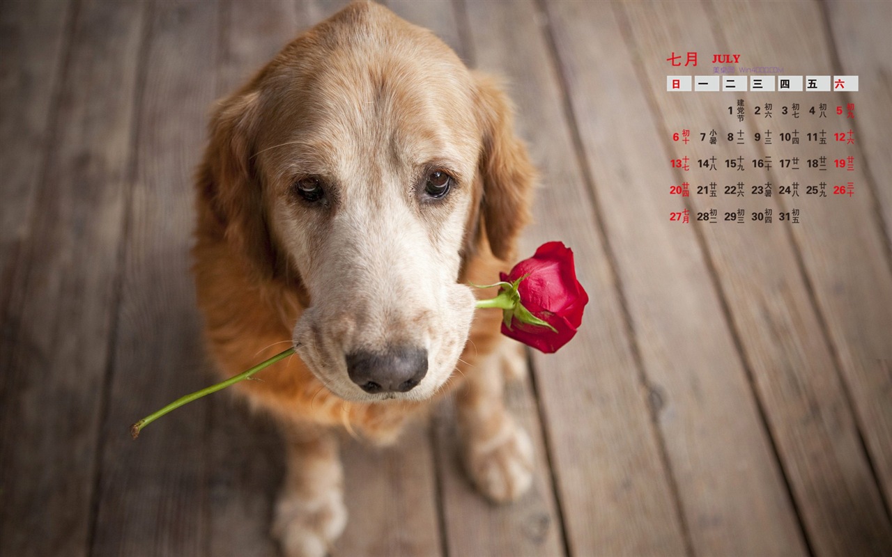 2014年7月 月曆壁紙(二) #13 - 1280x800