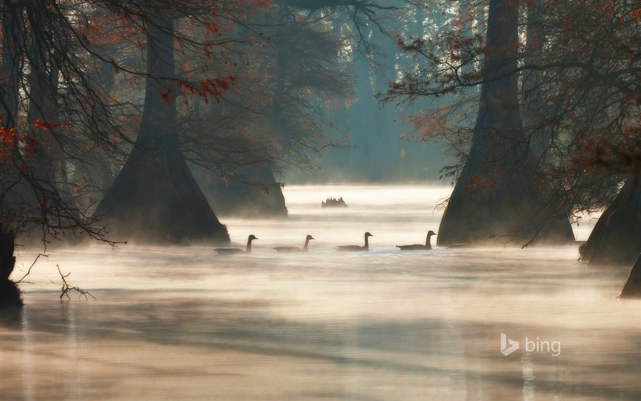 06. 2014 Výběr Bing oficiální wallpaper #15 - 1280x800