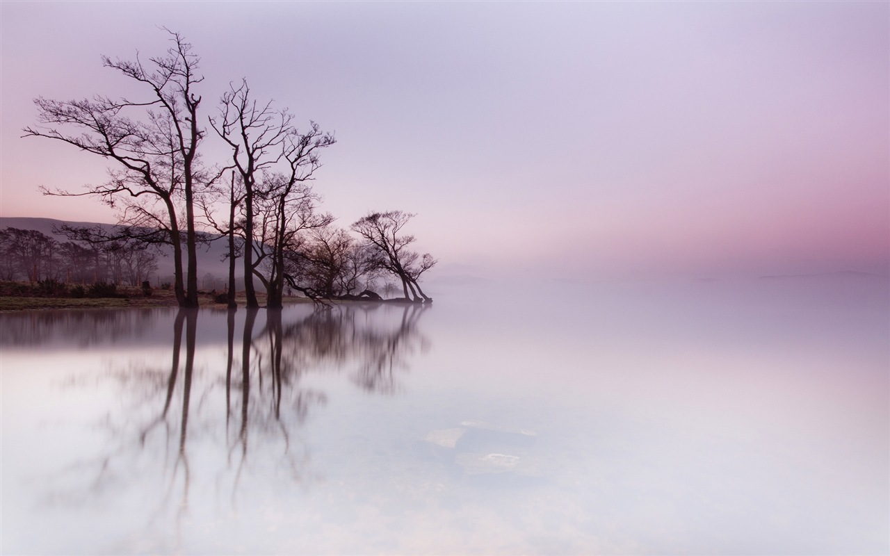 朦胧的清晨风景,windows 8 主题壁纸6 - 1280x800