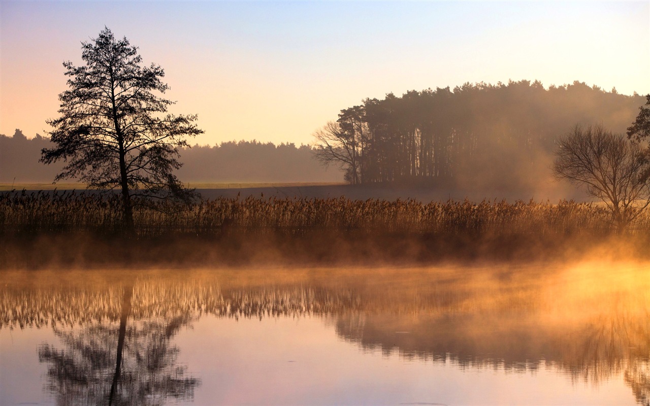 Paysage brumeux matin, Windows 8 écran thème #10 - 1280x800