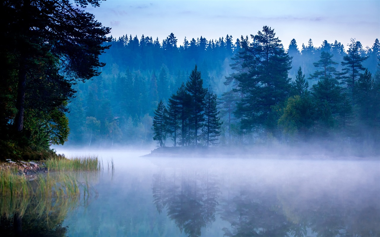 Paysage brumeux matin, Windows 8 écran thème #14 - 1280x800