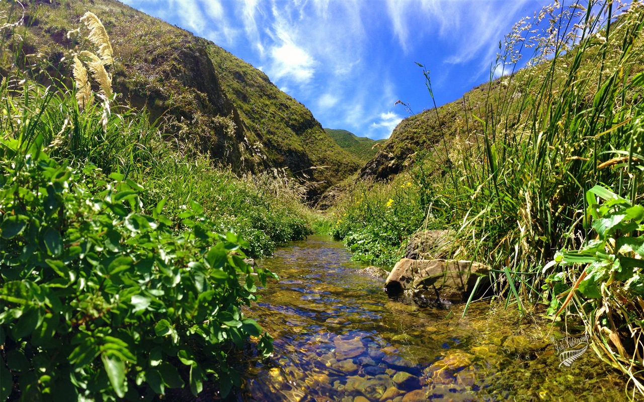 Impresionantes paisajes de Nueva Zelanda, Windows 8 tema fondos de pantalla #8 - 1280x800