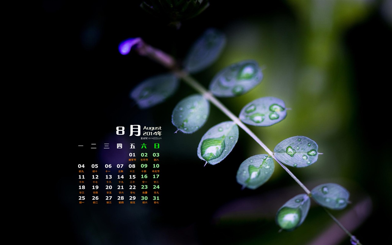 2014年8月 月曆壁紙(一) #9 - 1280x800