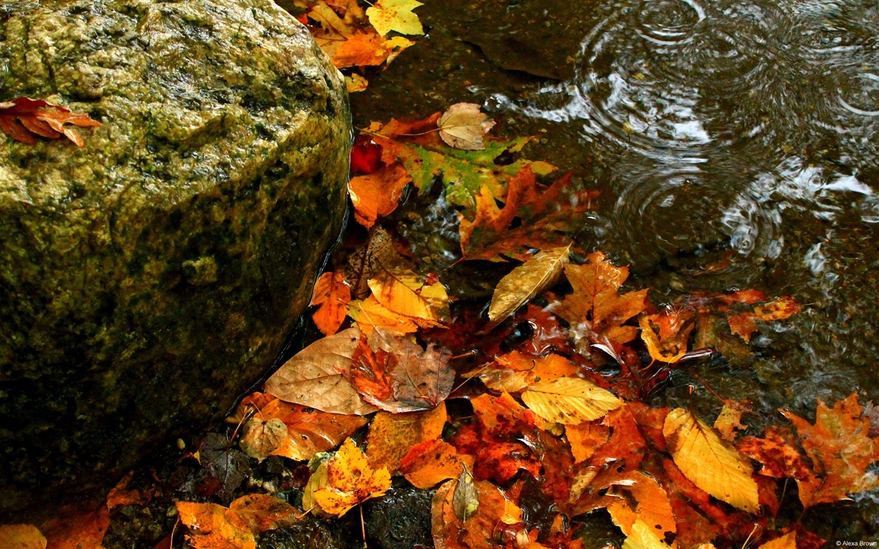 Téma Voda, Windows 8 HD tapety na plochu #13 - 1280x800