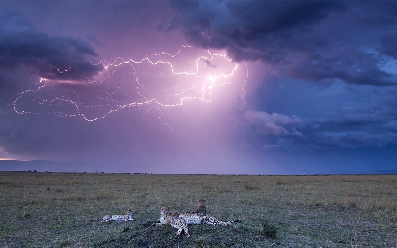 Lightning thunder HD wallpapers #9 - 1280x800