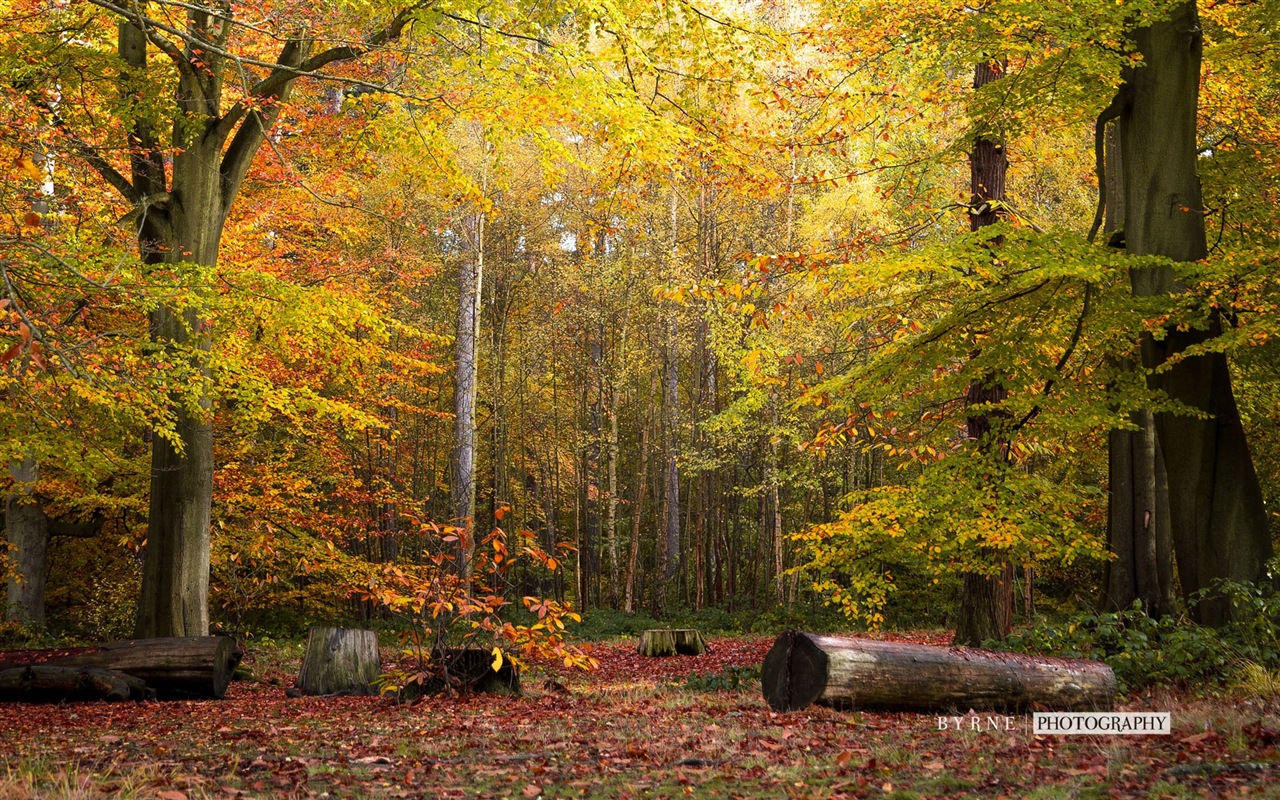 Beautiful Britain, Windows 8 theme wallpapers #9 - 1280x800