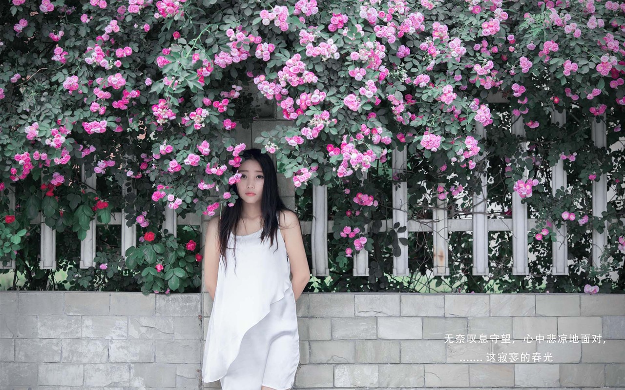 Hermosa chica con fondos de pantalla de alta definición de flores rosas #7 - 1280x800