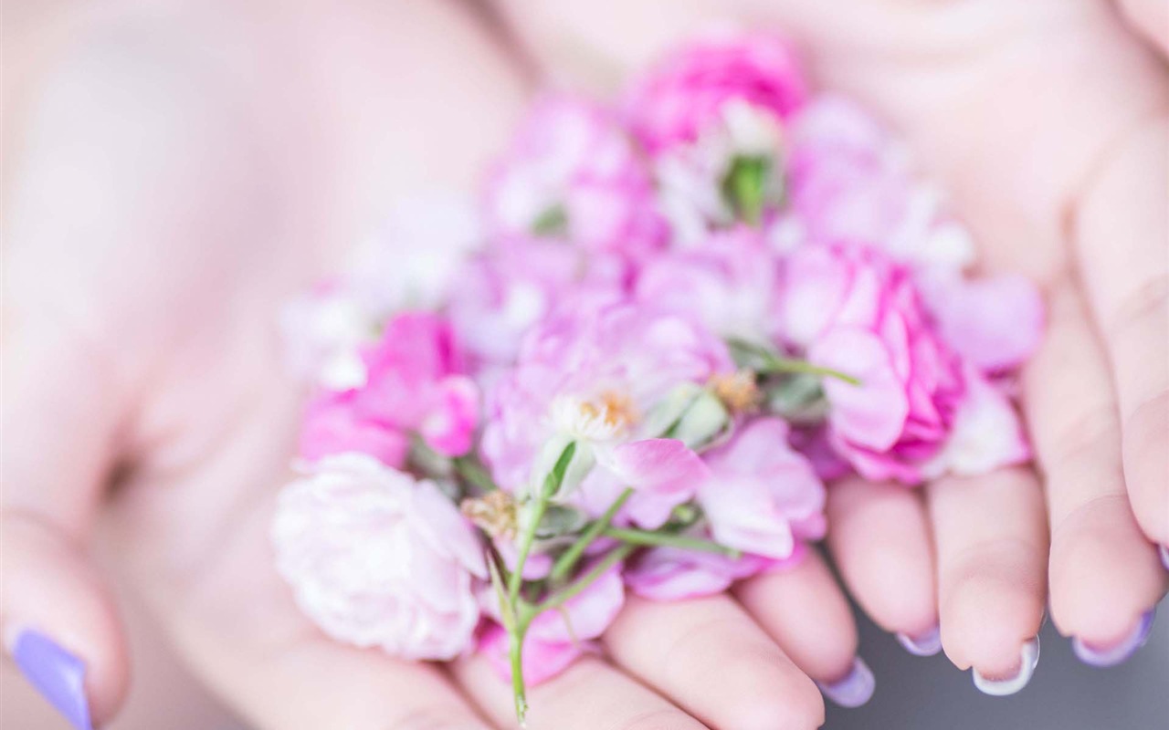 Belle fille avec des roses fleurs fonds d'écran HD #10 - 1280x800