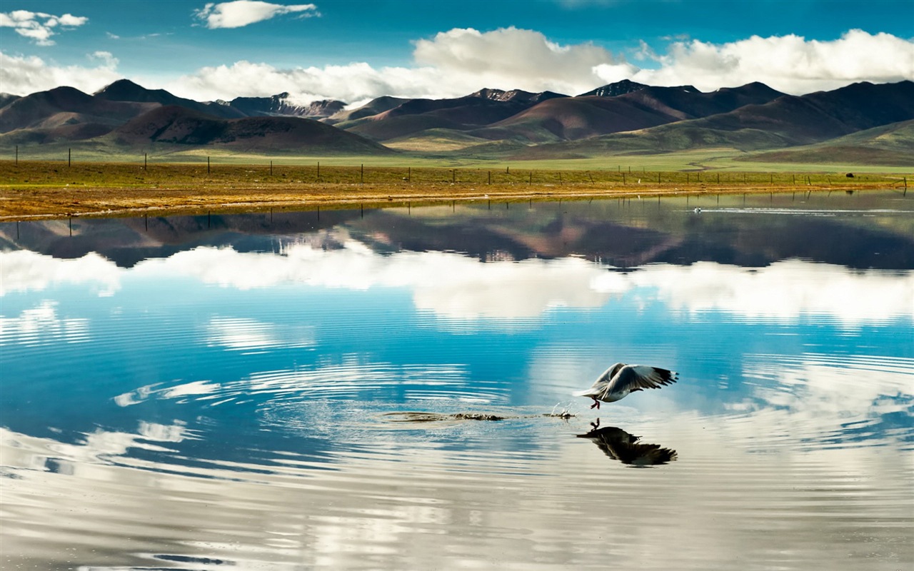 Qinghai Plateau krásné scenérie tapety #2 - 1280x800