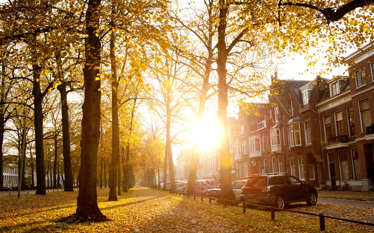 Sunshine forest lakes beauty of nature HD wallpaper #2 - 1280x800