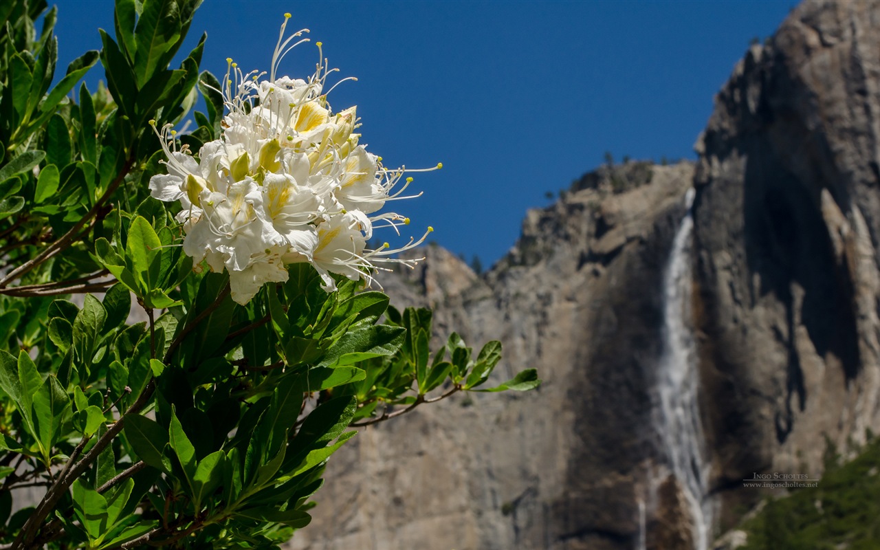 Windows 8 téma, Národní park Yosemite HD tapety na plochu #4 - 1280x800