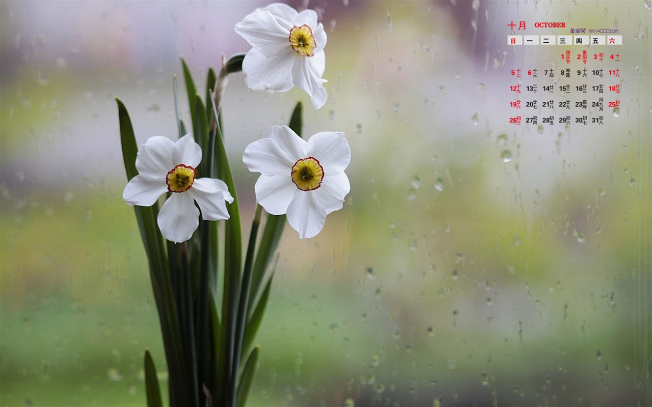 October 2014 Calendar wallpaper (1) #16 - 1280x800