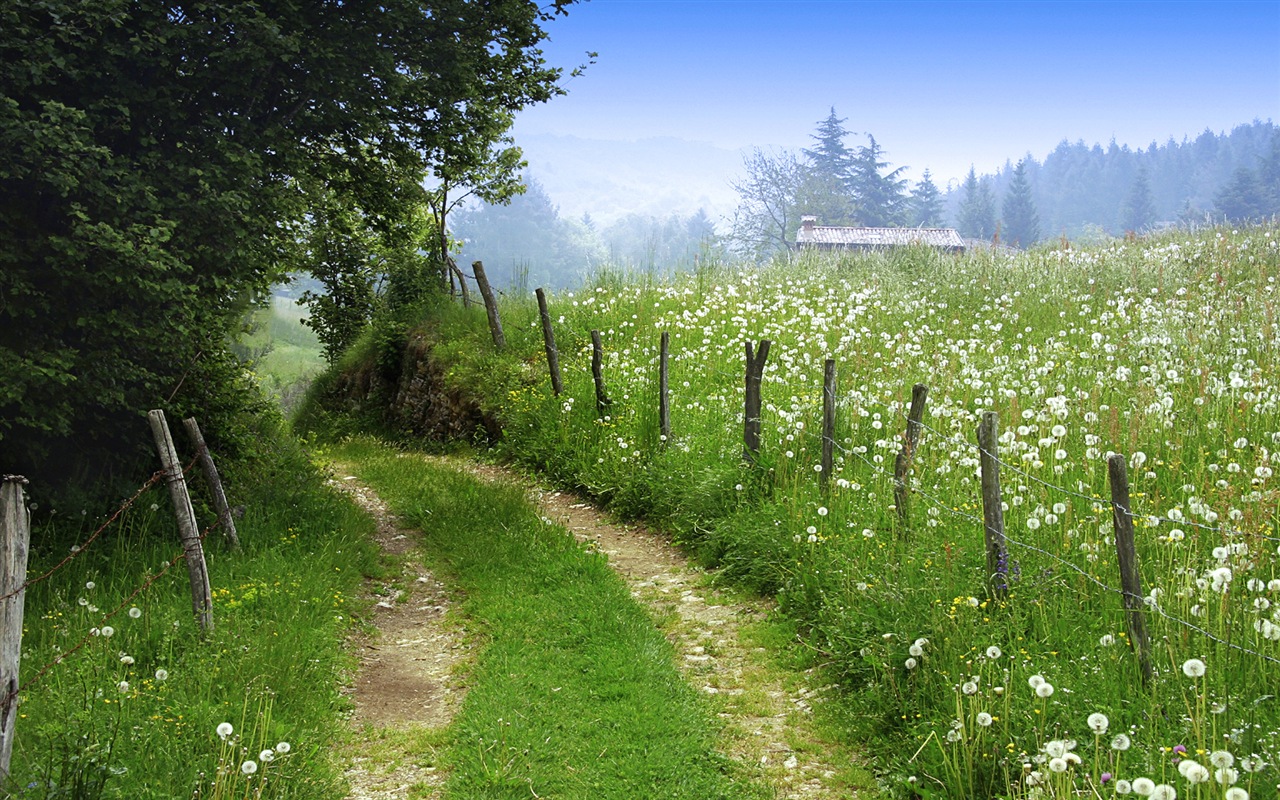 Windows 8 theme wallpaper, footpath HD wallpapers #6 - 1280x800