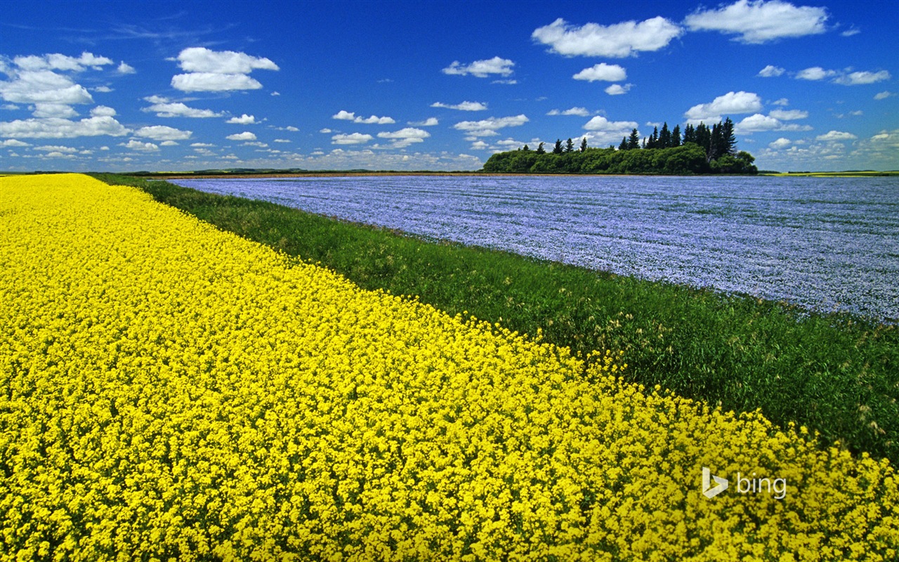 Octobre 2014 Bing fonds d'écran paysages HD #20 - 1280x800