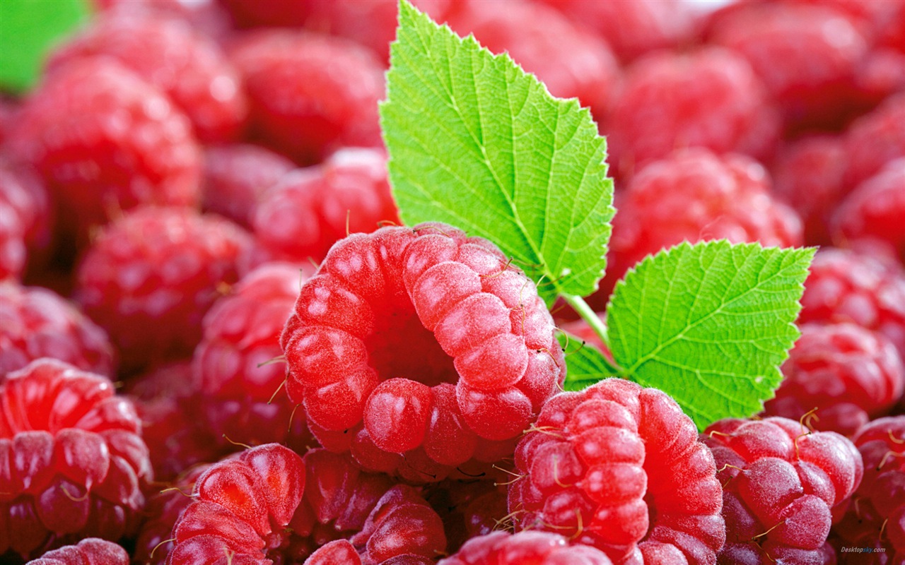 Fondos de pantalla de alta definición de frambuesa roja dulces #1 - 1280x800