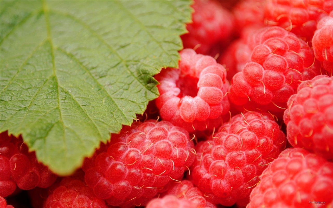 Sweet red raspberry HD wallpapers #9 - 1280x800