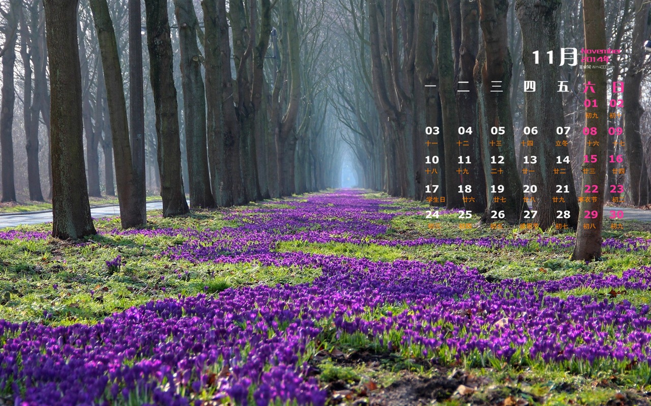 November 2014 Calendar wallpaper(1) #3 - 1280x800