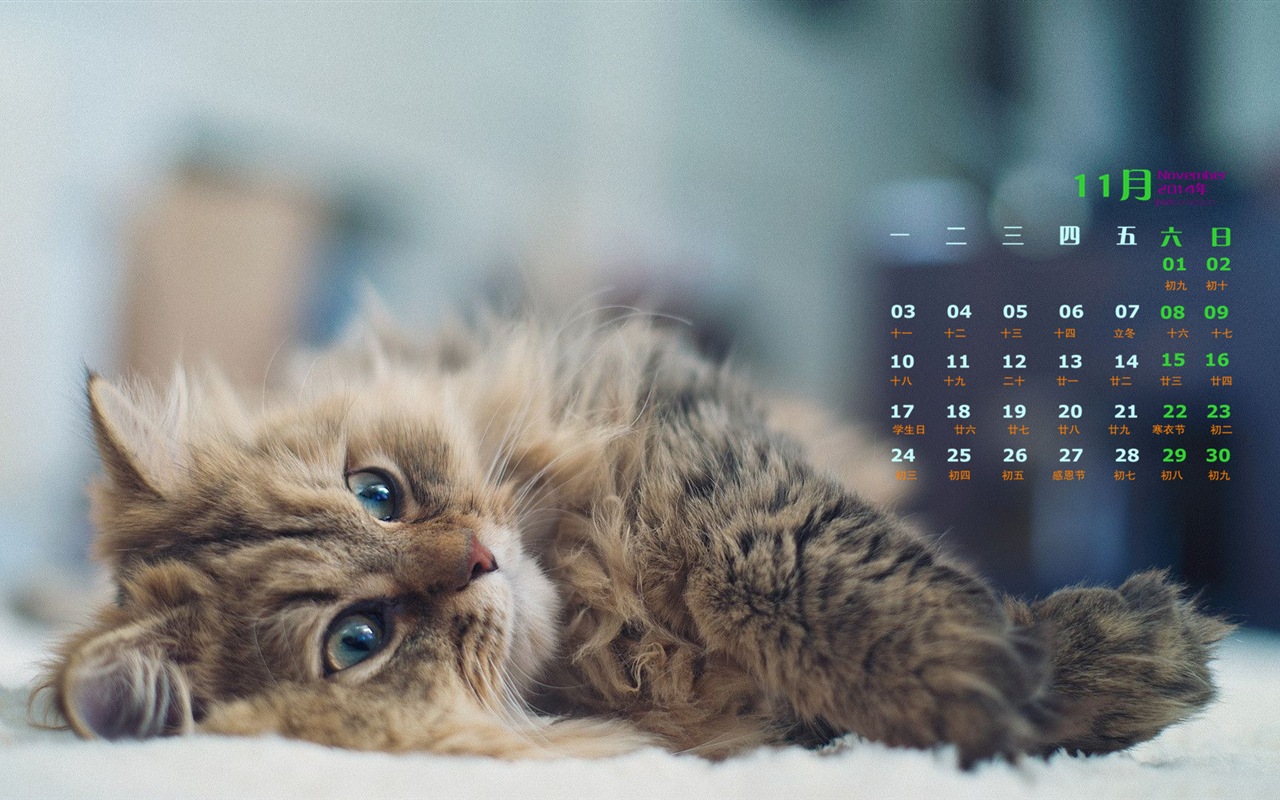 November 2014 Calendar wallpaper(1) #6 - 1280x800