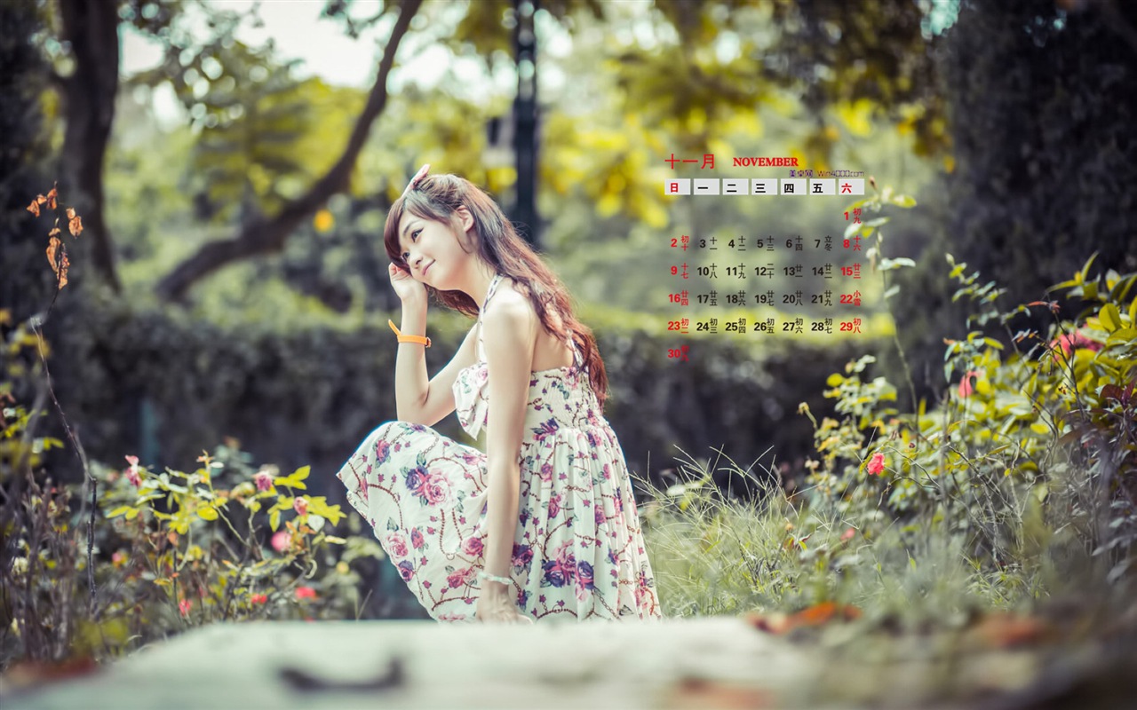 2014년 11월 캘린더 벽지 (1)Novembre Déc 2014 Calendrier fond d'écran (1) #12 - 1280x800