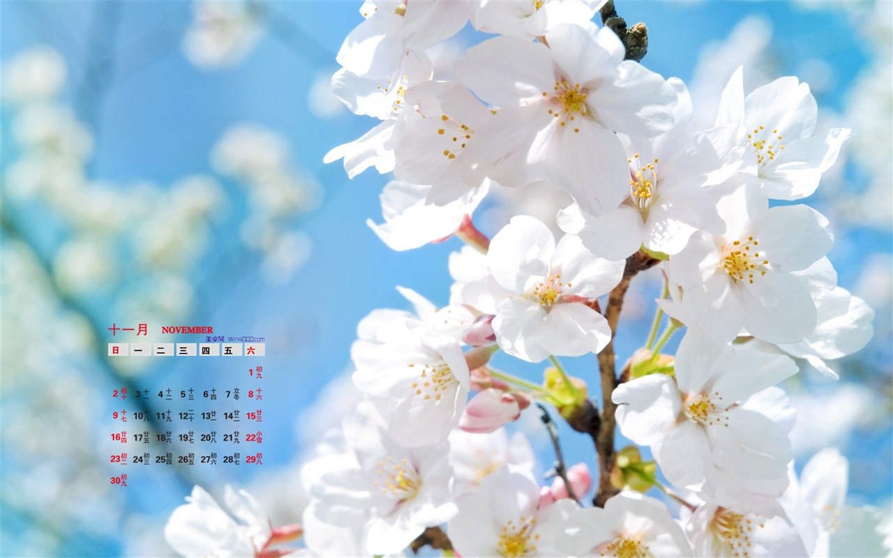 November 2014 Calendar wallpaper(1) #18 - 1280x800