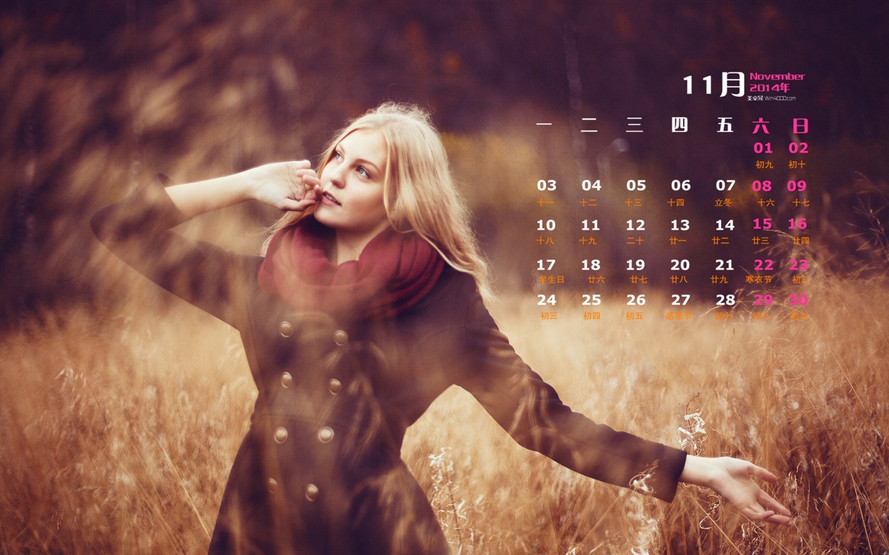 2014년 11월 캘린더 벽지 (1)Novembre Déc 2014 Calendrier fond d'écran (2) #4 - 1280x800