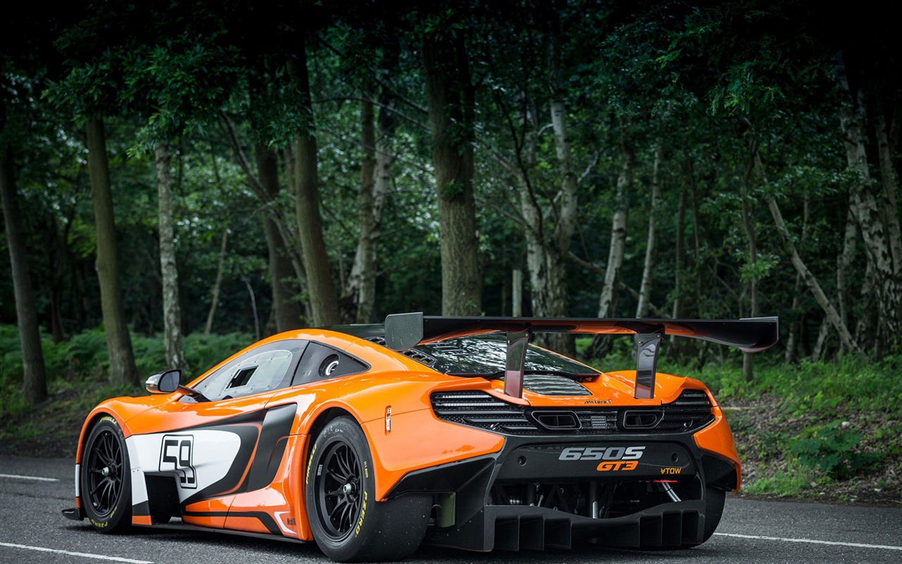 2015迈凯伦650S GT3 超级跑车高清壁纸5 - 1280x800