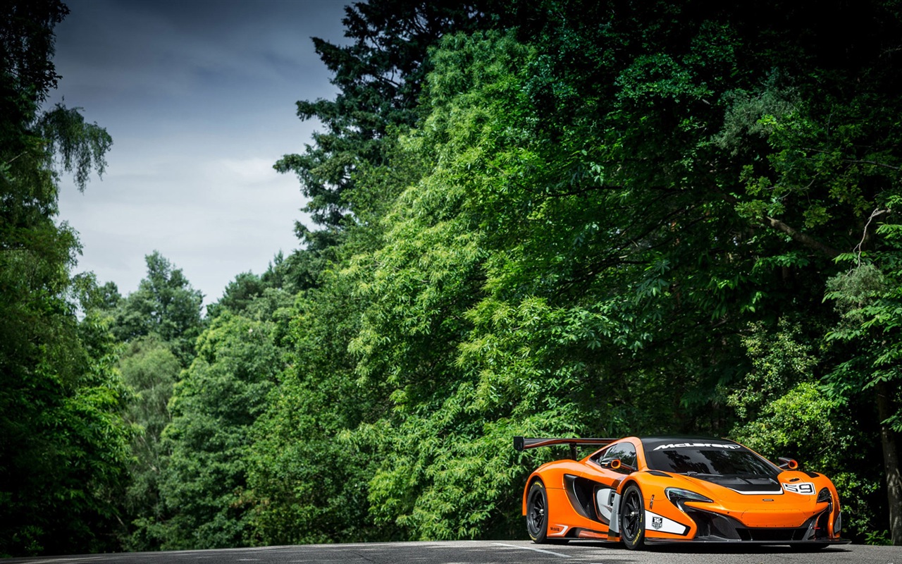 2015邁凱倫650S GT3 超級跑車高清壁紙 #7 - 1280x800