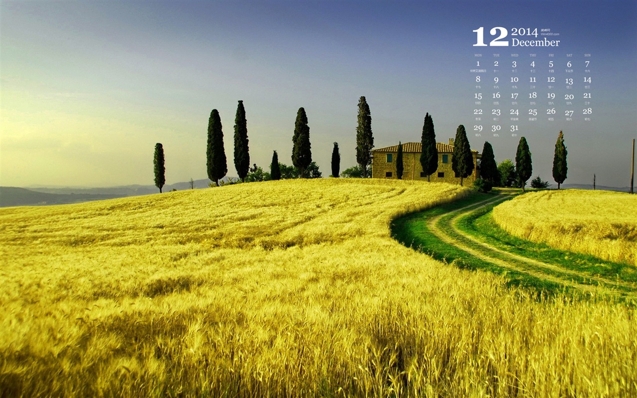 December 2014 Calendar wallpaper (1) #9 - 1280x800