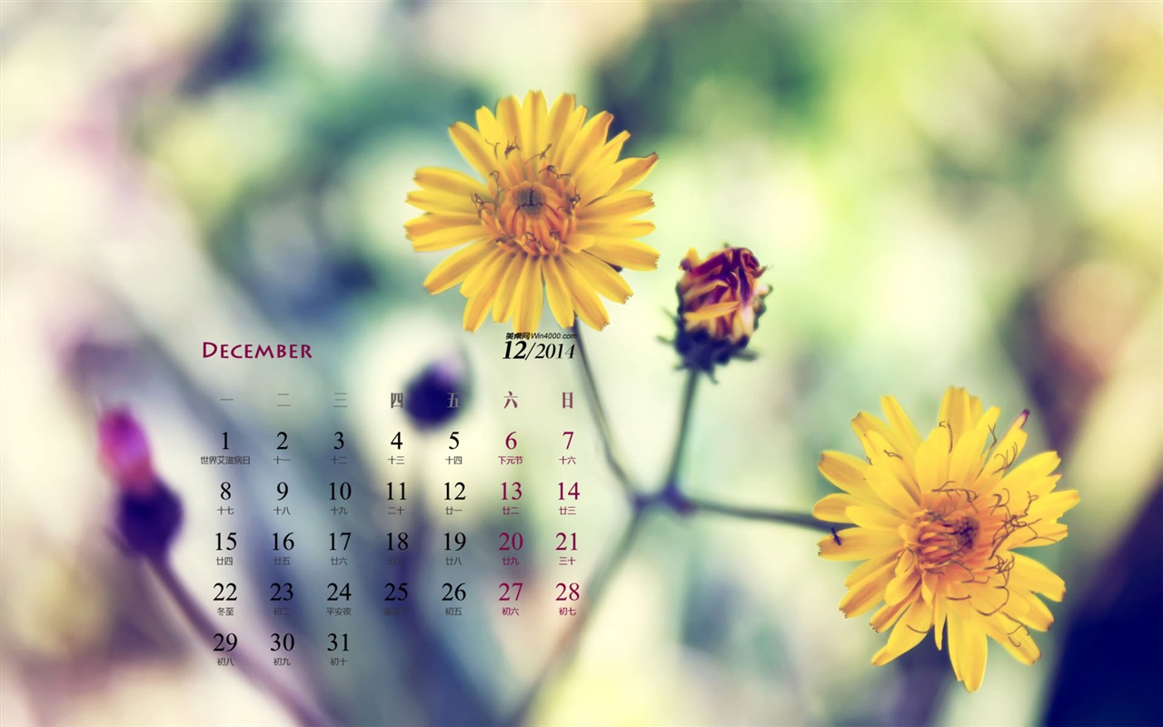 December 2014 Calendar wallpaper (1) #10 - 1280x800