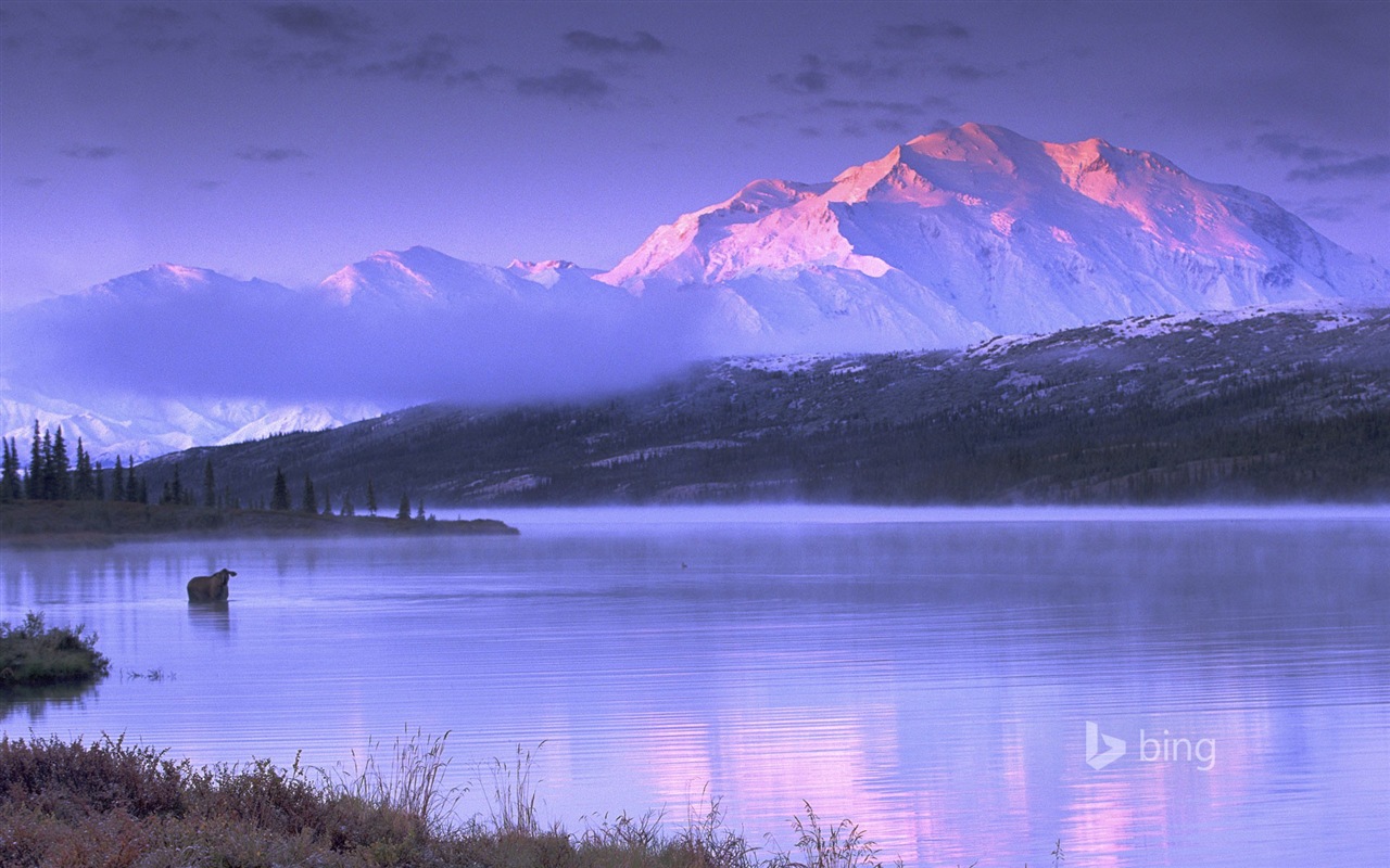 11. 2014 Bing Tapety #7 - 1280x800