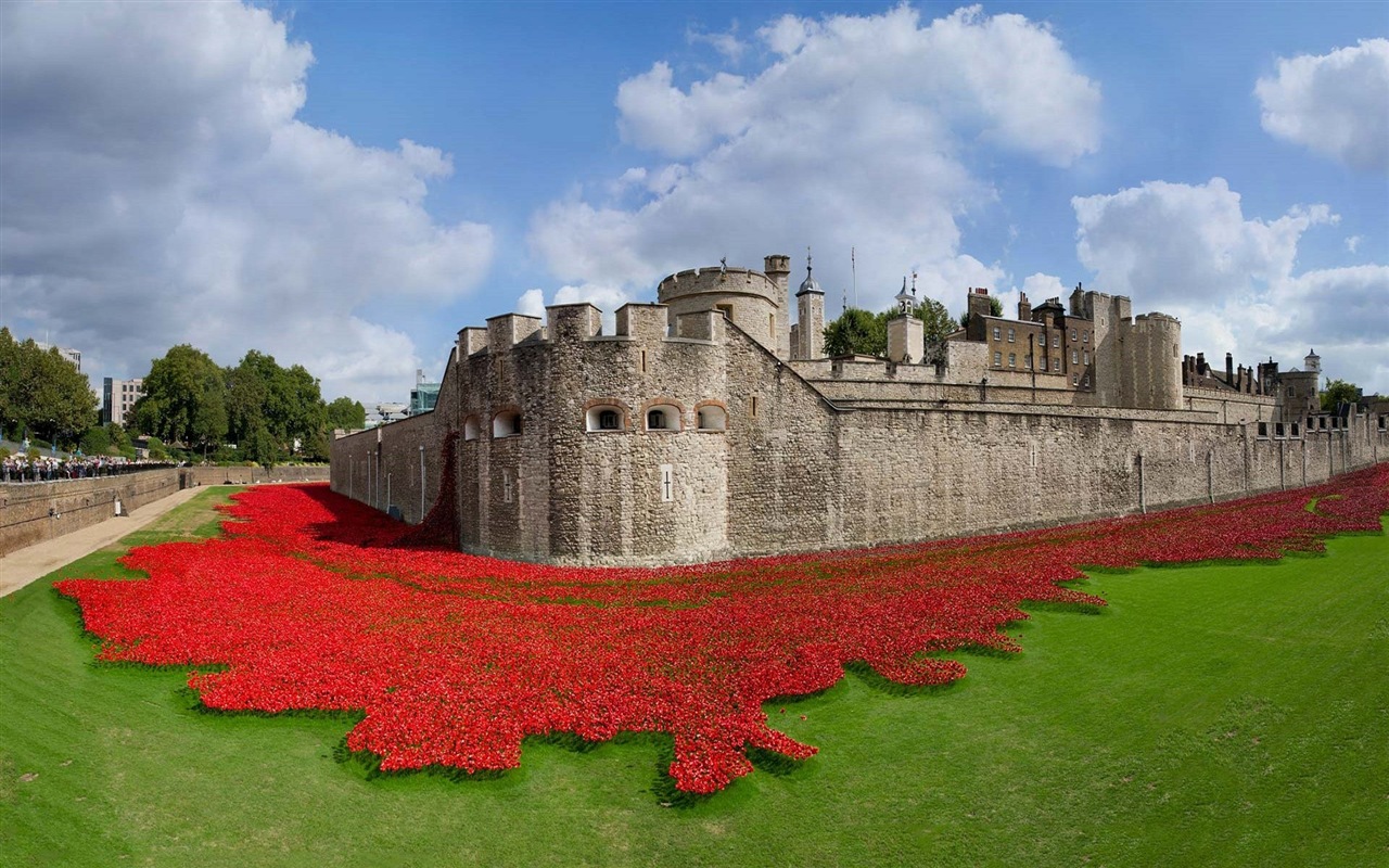 November 2014 Bing landscape wallpapers #11 - 1280x800