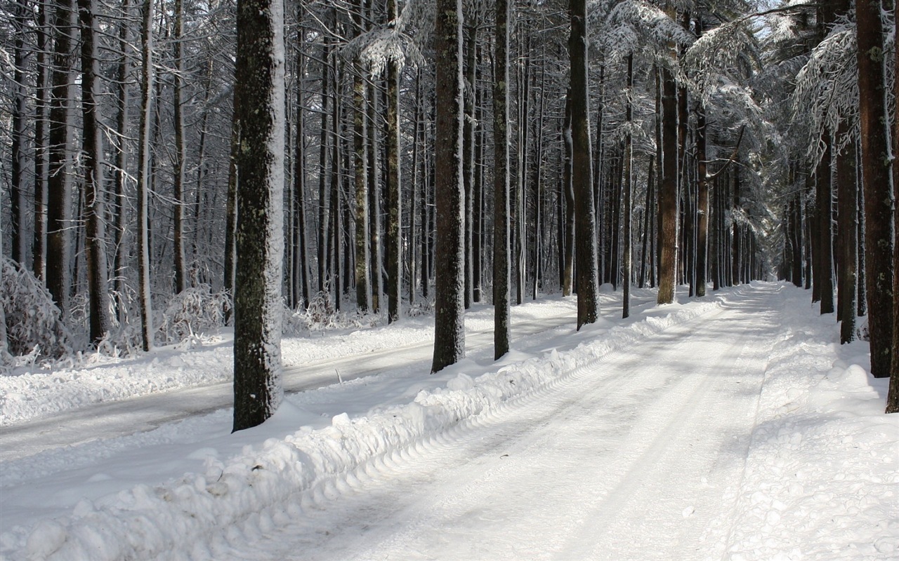 Zima, sníh, hory, jezera, stromy, silnice HD tapety na plochu #3 - 1280x800