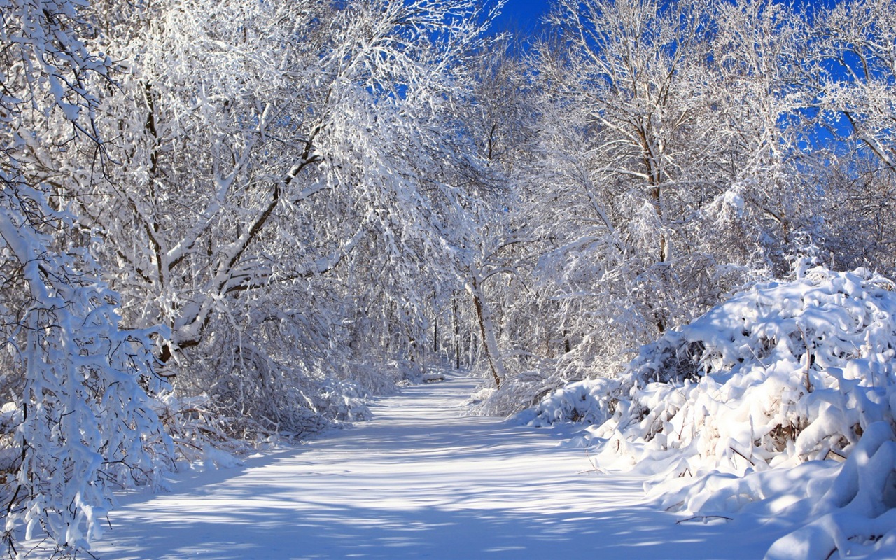 Zima, sníh, hory, jezera, stromy, silnice HD tapety na plochu #5 - 1280x800